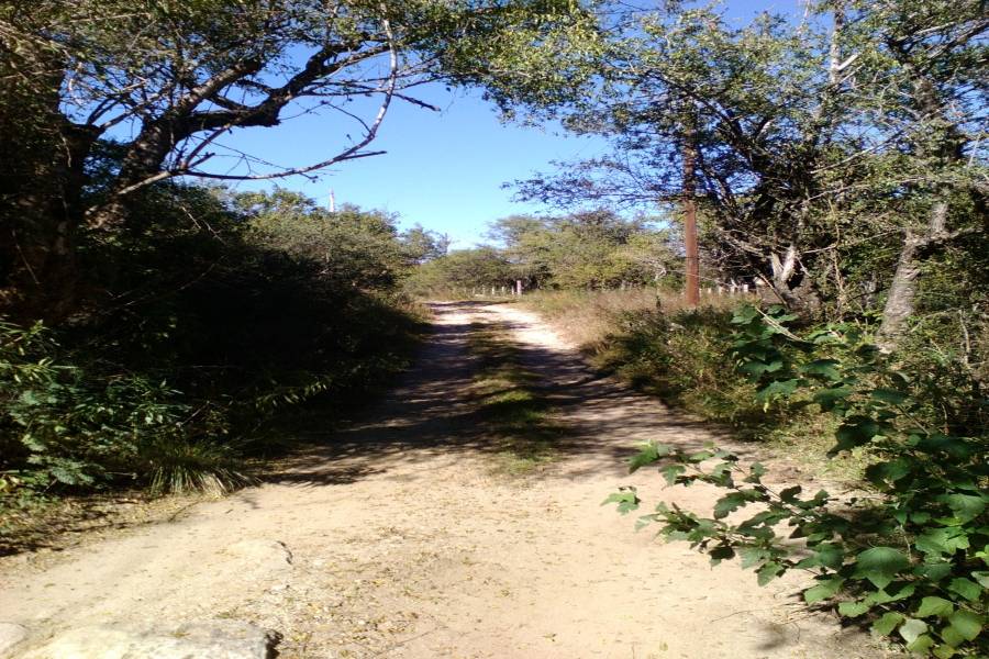 Loma Bola,Córdoba,Argentina,Lotes-Terrenos,1337